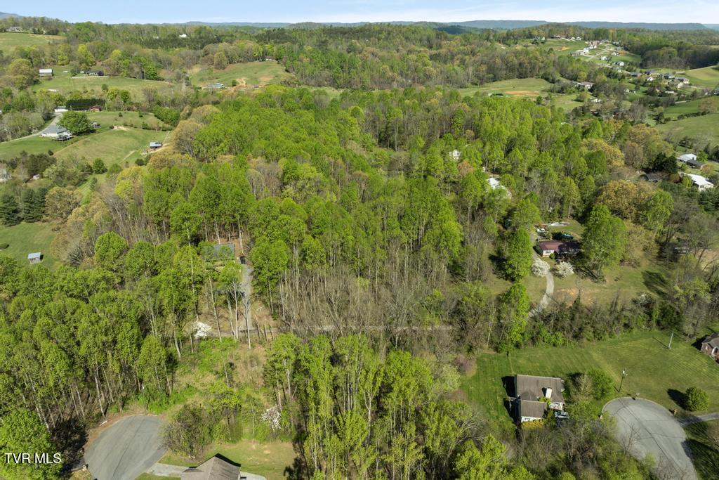 310 Mitchell Court, Jonesborough, Tennessee image 18