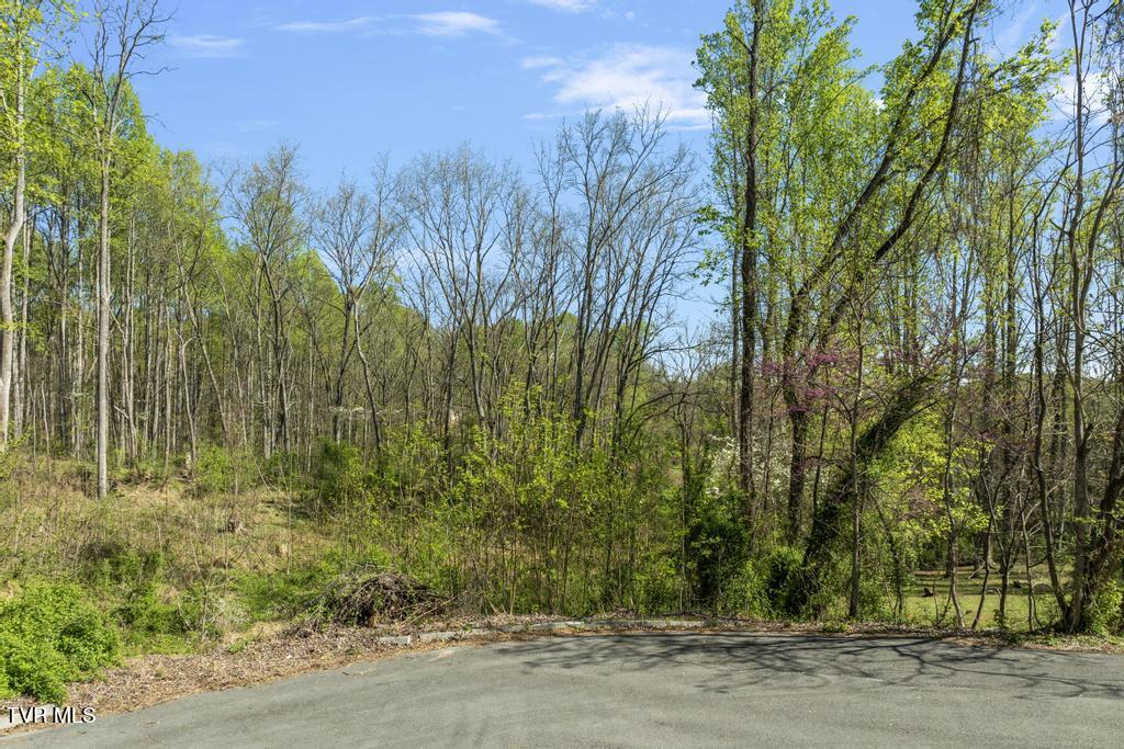 310 Mitchell Court, Jonesborough, Tennessee image 5