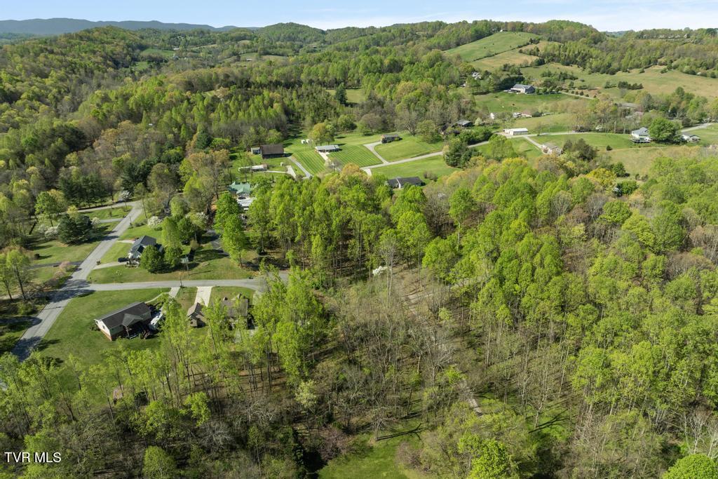 310 Mitchell Court, Jonesborough, Tennessee image 16