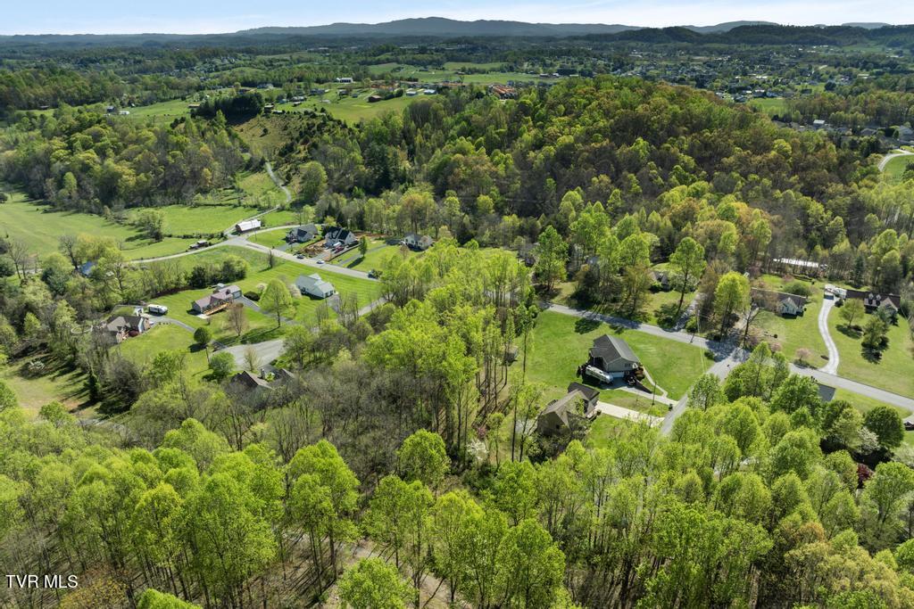 310 Mitchell Court, Jonesborough, Tennessee image 11