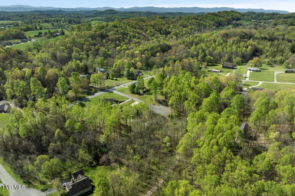 310 Mitchell Court, Jonesborough, Tennessee image 15