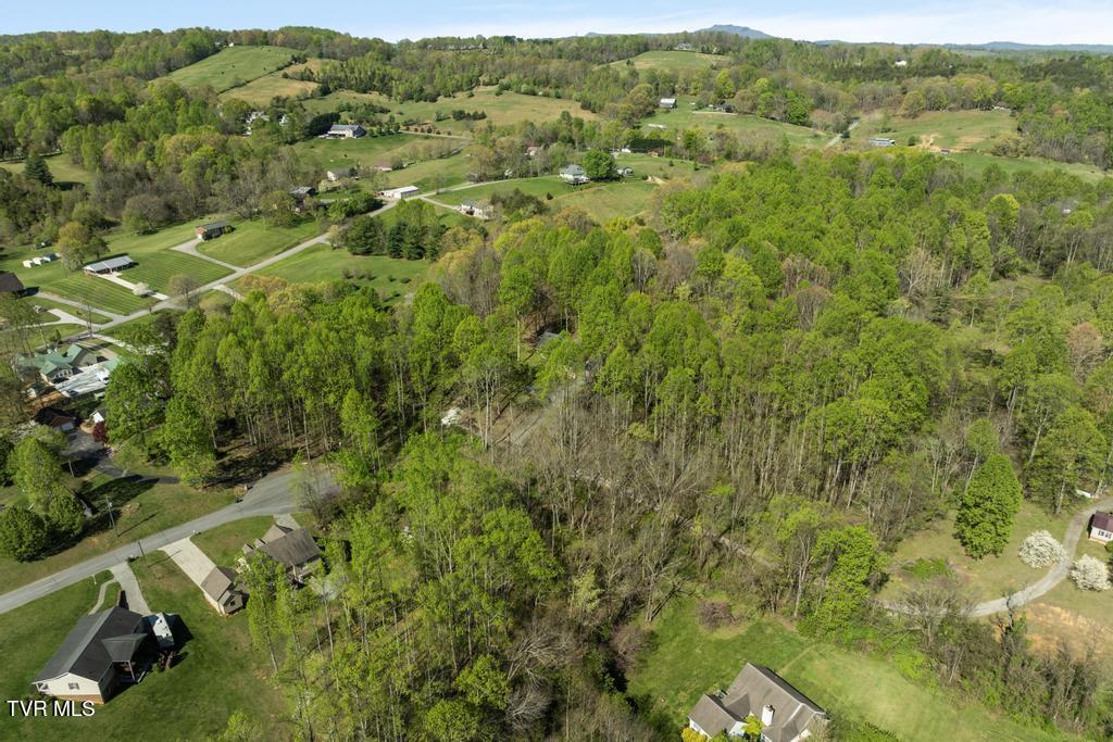 310 Mitchell Court, Jonesborough, Tennessee image 17