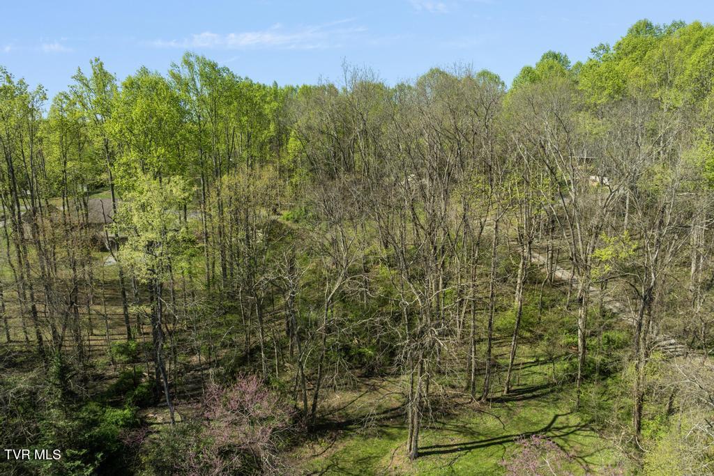 310 Mitchell Court, Jonesborough, Tennessee image 6