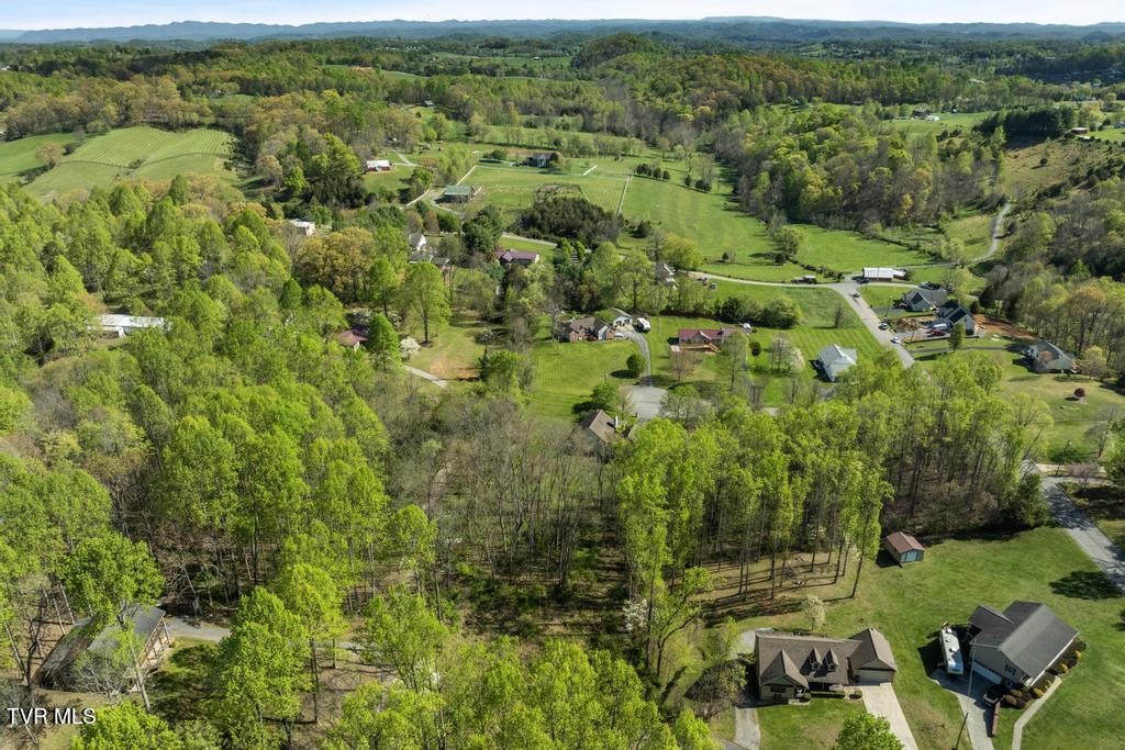 310 Mitchell Court, Jonesborough, Tennessee image 24