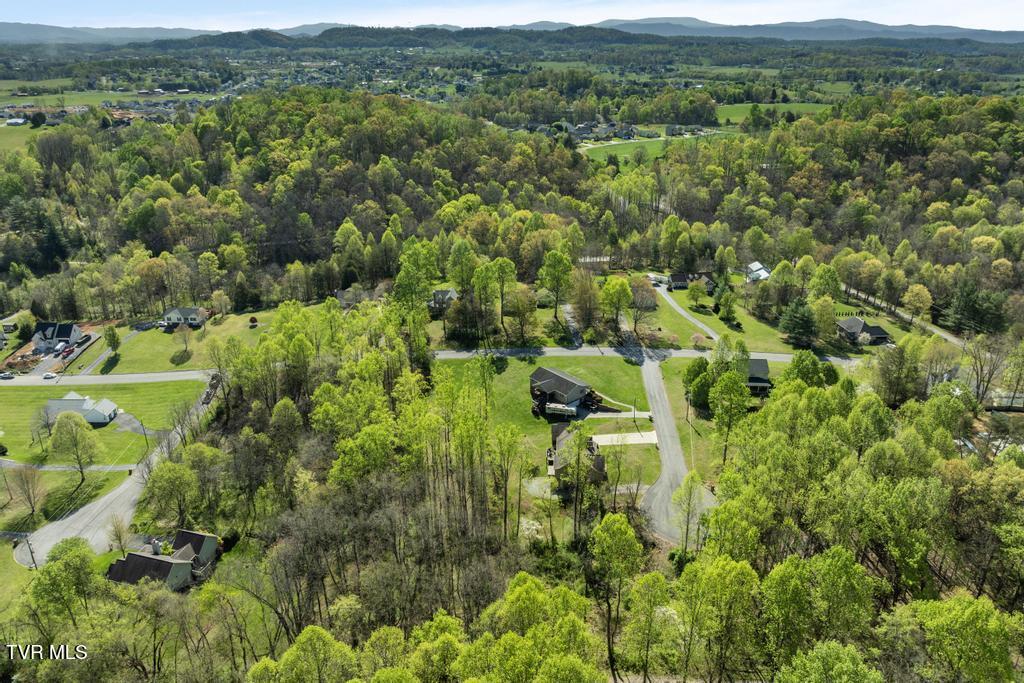 310 Mitchell Court, Jonesborough, Tennessee image 13