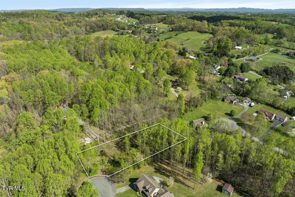 310 Mitchell Court, Jonesborough, Tennessee image 19