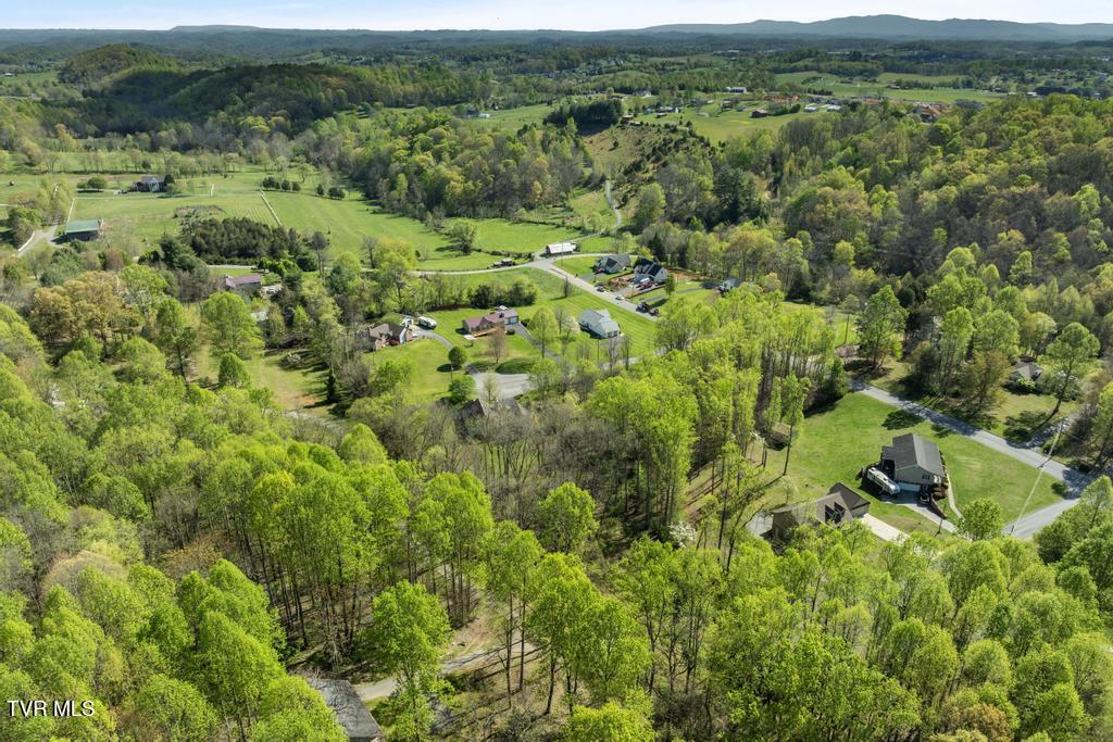 310 Mitchell Court, Jonesborough, Tennessee image 10