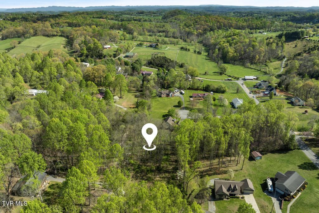 310 Mitchell Court, Jonesborough, Tennessee image 23