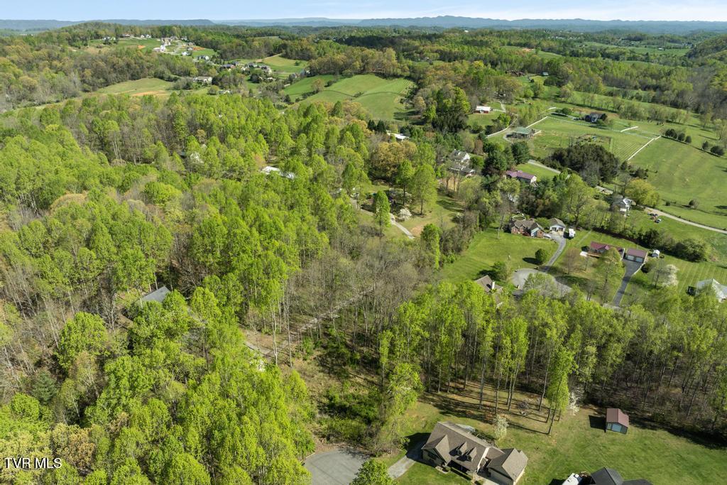 310 Mitchell Court, Jonesborough, Tennessee image 22