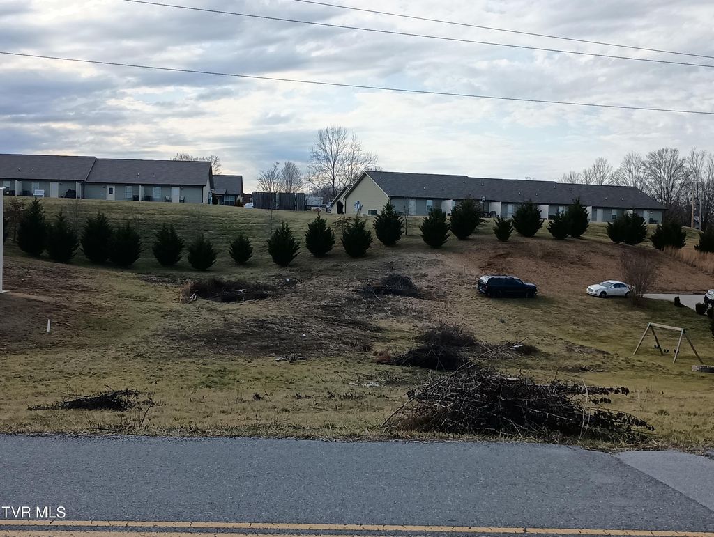 Photo of 199 Bob Fitz Road, Gray, TN 37615 (MLS # 9975890)