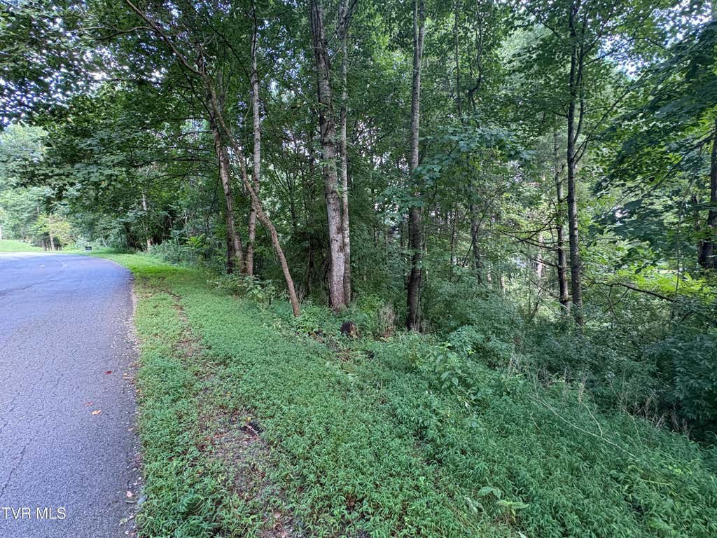 Photo of 31 Preston Place Drive, Abingdon, VA 24211 (MLS # 9999201)