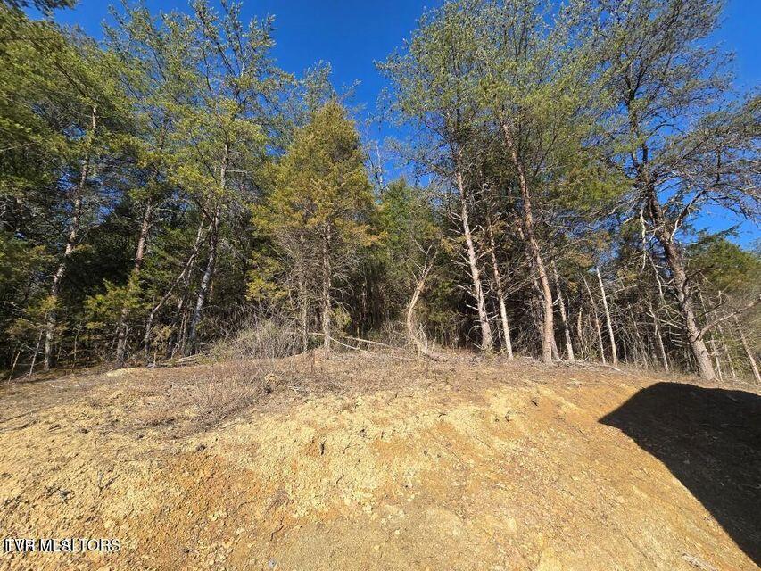 4123 Panther Creek Road, Sneedville, Tennessee image 8