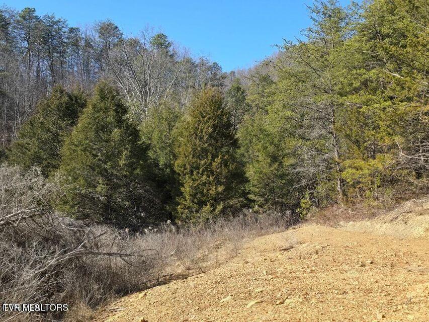 4123 Panther Creek Road, Sneedville, Tennessee image 2