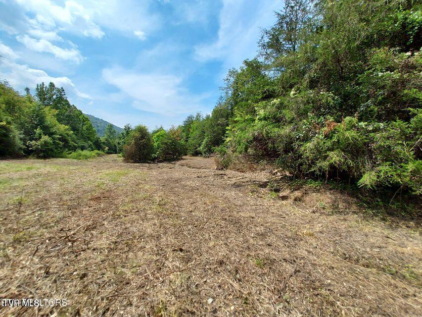4123 Panther Creek Road, Sneedville, Tennessee image 32