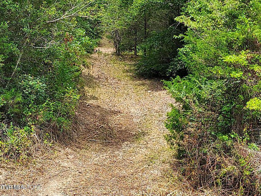 4123 Panther Creek Road, Sneedville, Tennessee image 27