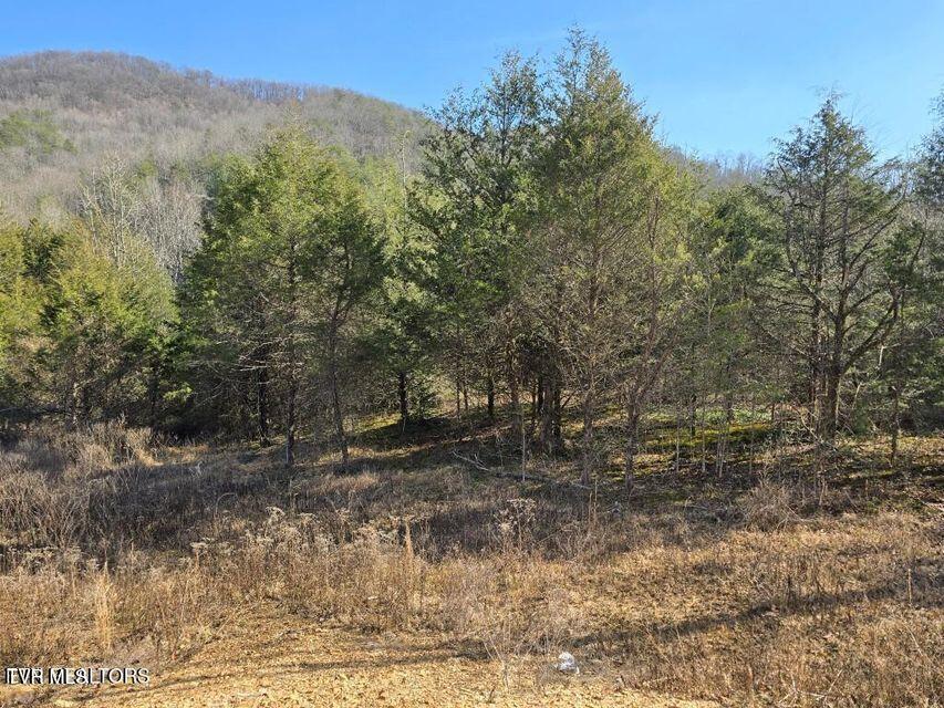 4123 Panther Creek Road, Sneedville, Tennessee image 3