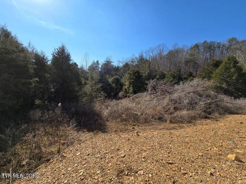 4123 Panther Creek Road, Sneedville, Tennessee image 16