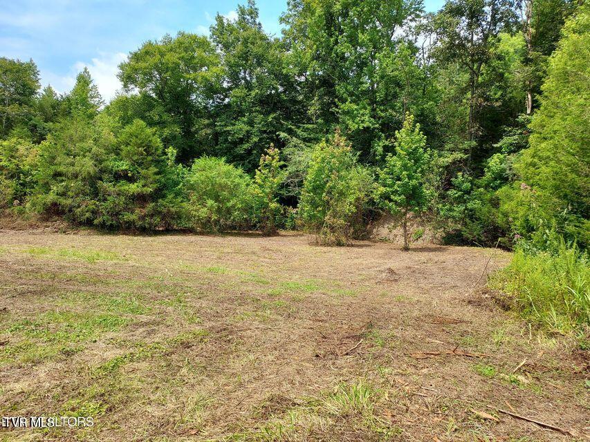 4123 Panther Creek Road, Sneedville, Tennessee image 28