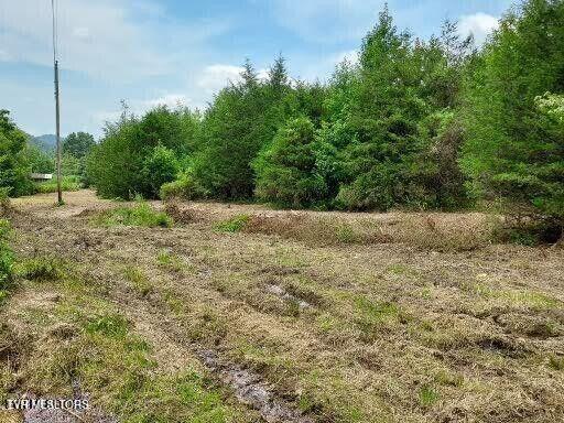 4123 Panther Creek Road, Sneedville, Tennessee image 31