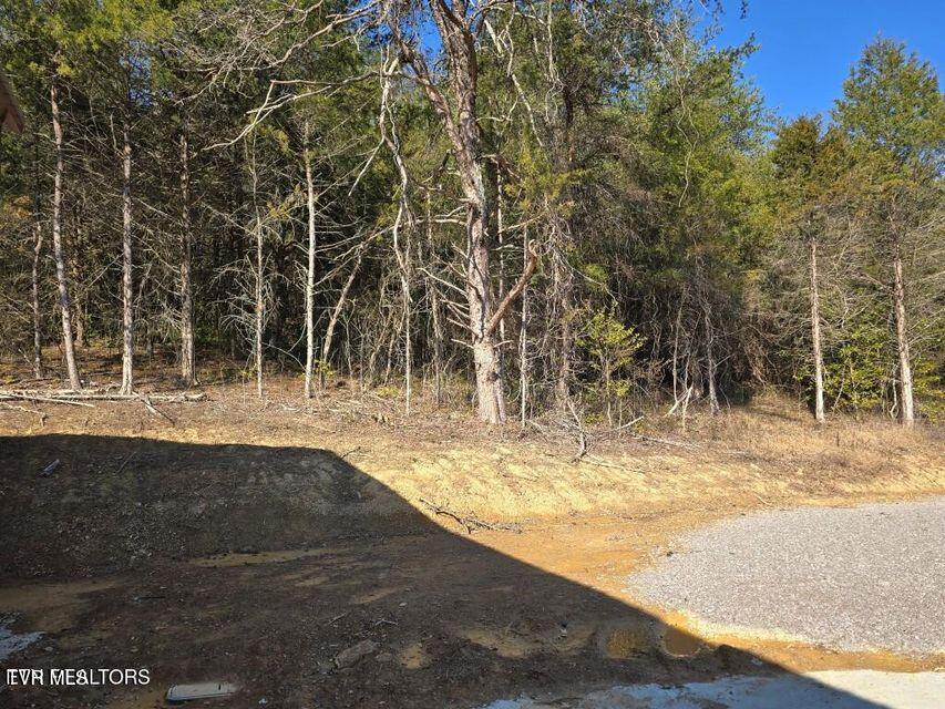 4123 Panther Creek Road, Sneedville, Tennessee image 7