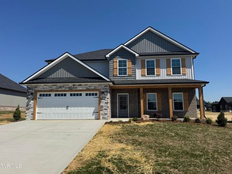 Photo of 3067 Sawgrass Drive, Jonesborough, TN 37659 (MLS # 9995550)
