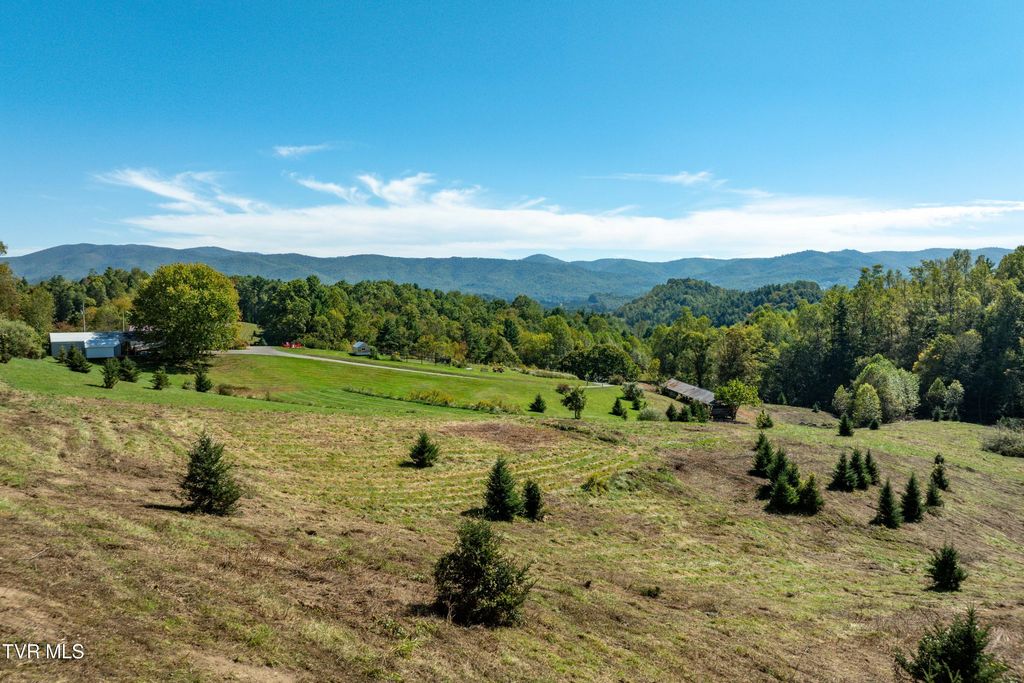 Photo of 1311 Deer Run Road, Mountain City, TN 37683 (MLS # 9986598)