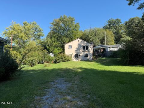 Photo of 1525 Central Street, Kingsport, TN 37664 (MLS # 9986491)
