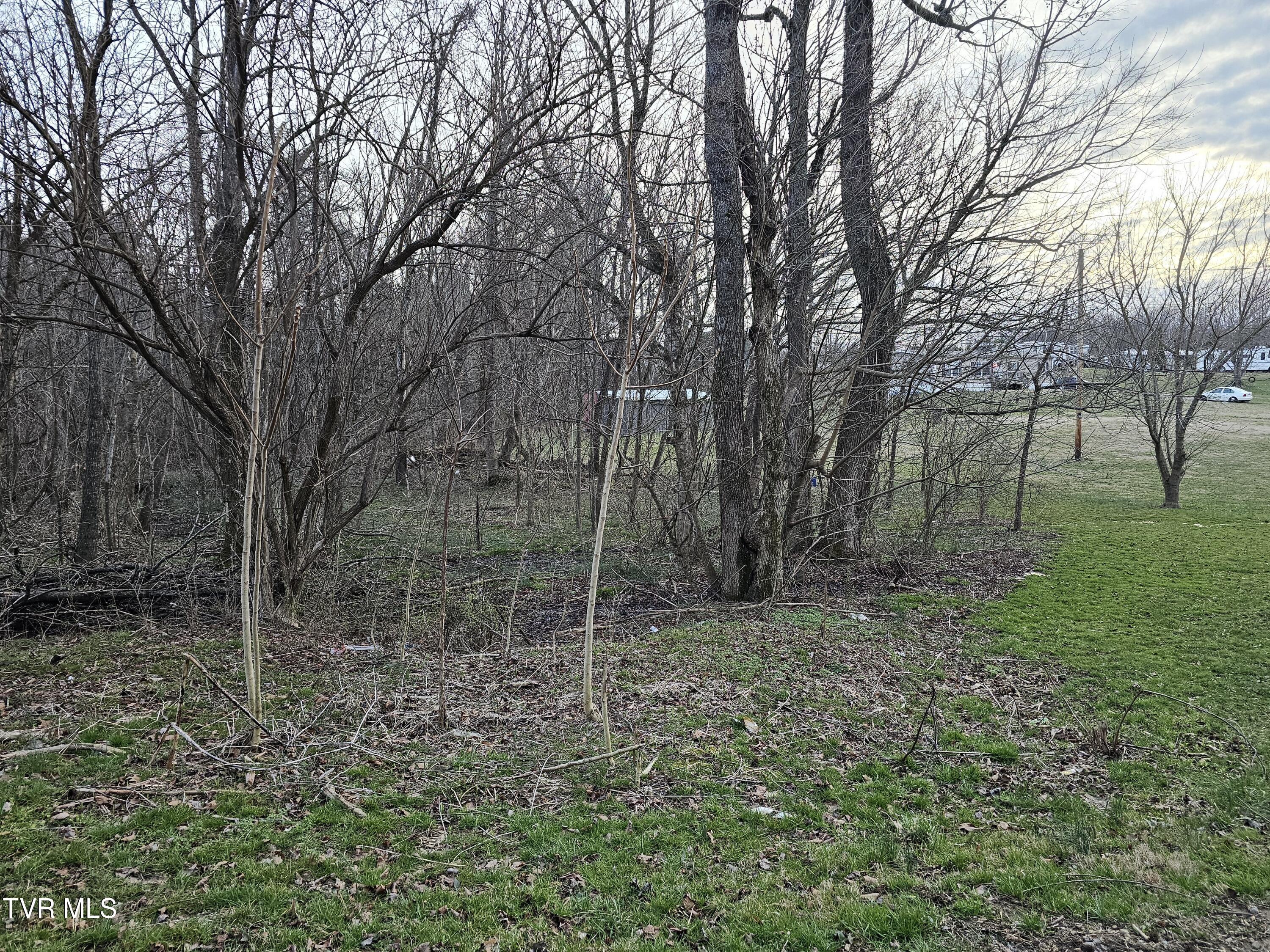 000 Fishpond Road, Chuckey, Tennessee image 3