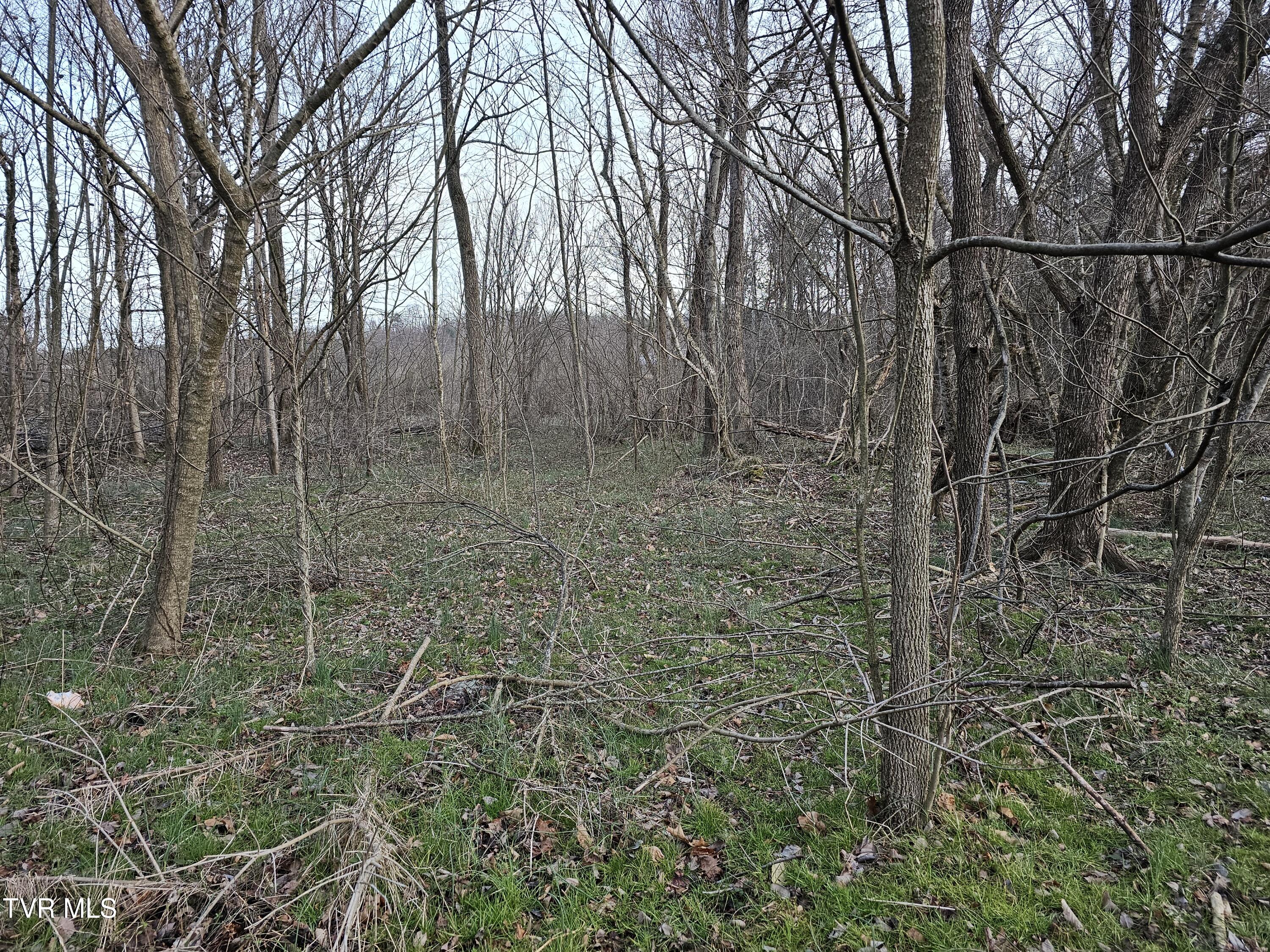 000 Fishpond Road, Chuckey, Tennessee image 5