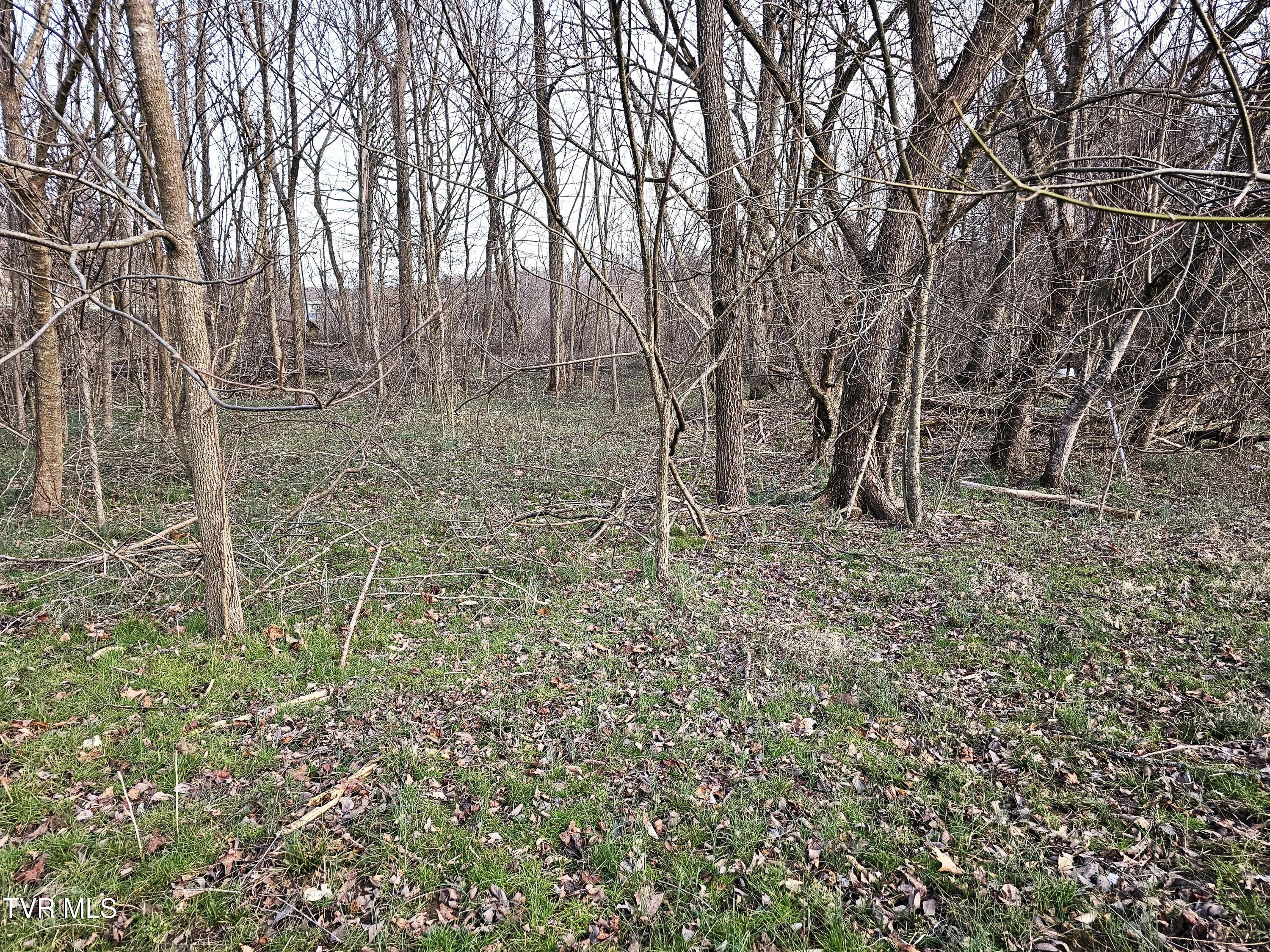 000 Fishpond Road, Chuckey, Tennessee image 4