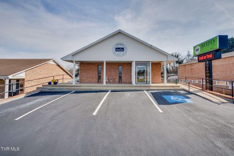 106 Rogosin Drive Elizabethton TN 37643