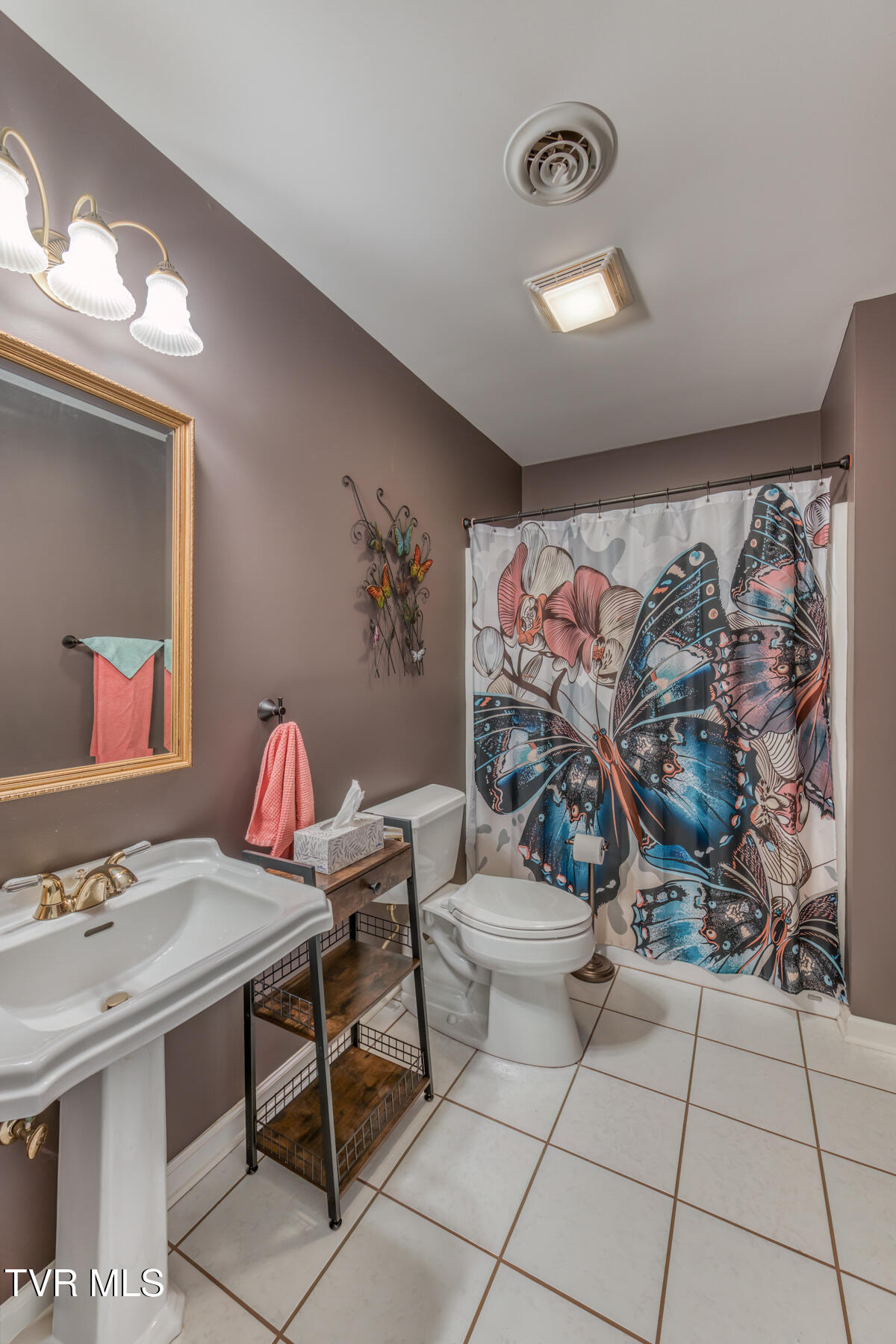 620 Glen Oaks Place, Johnson City, Tennessee image 33