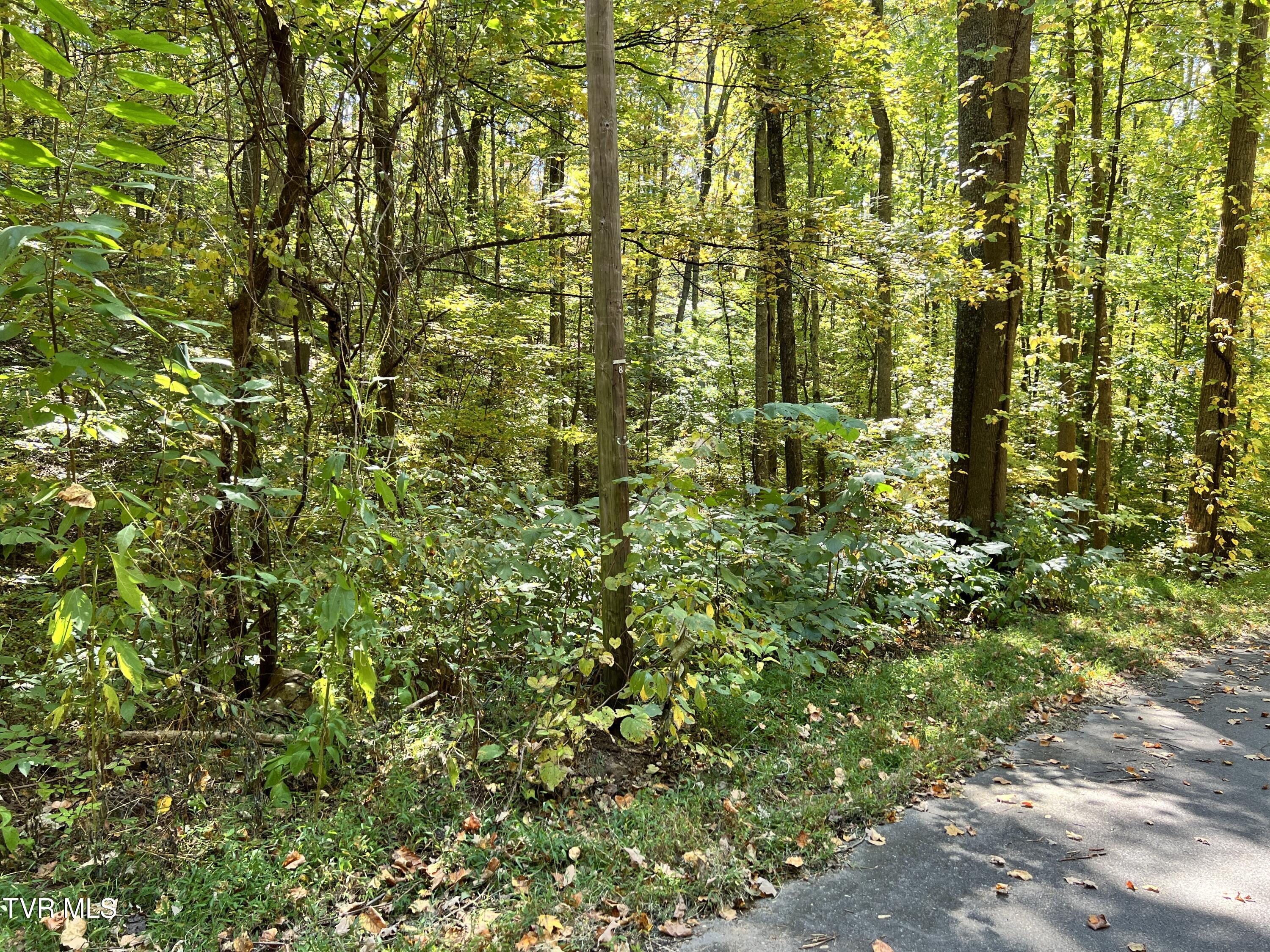 1875 Dyer Hollow Road, Mohawk, Tennessee image 6