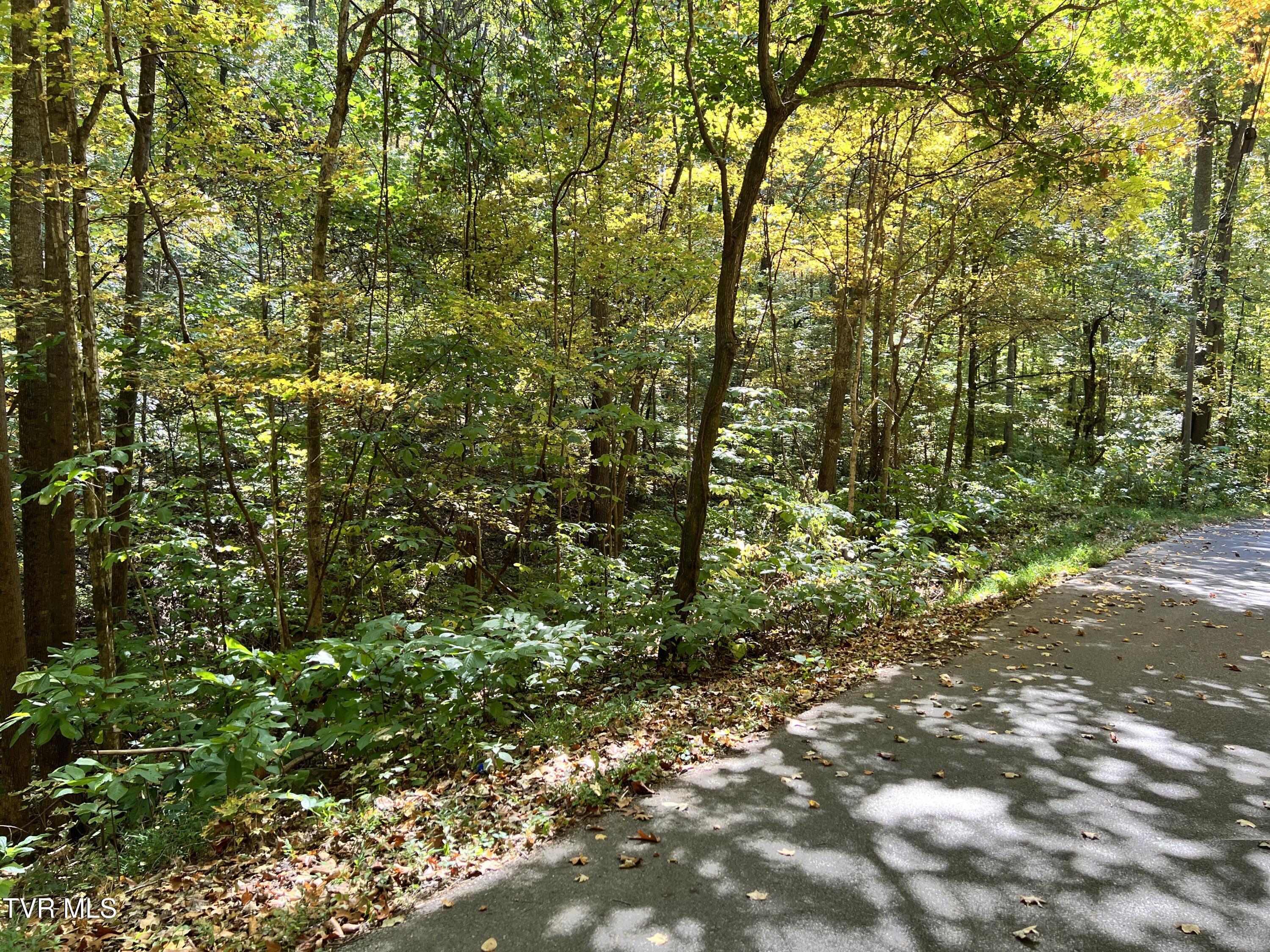 1875 Dyer Hollow Road, Mohawk, Tennessee image 2