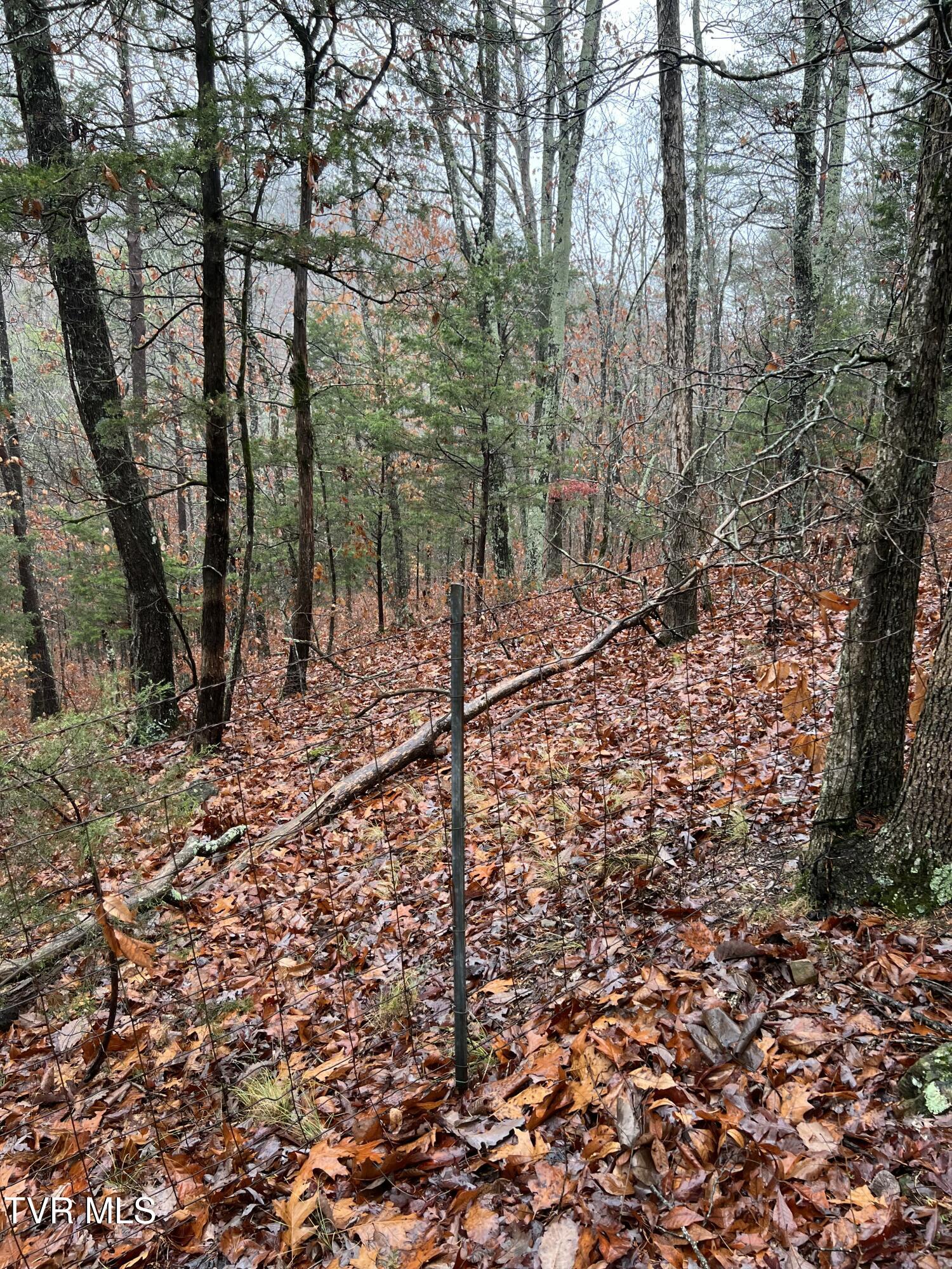1875 Dyer Hollow Road, Mohawk, Tennessee image 16