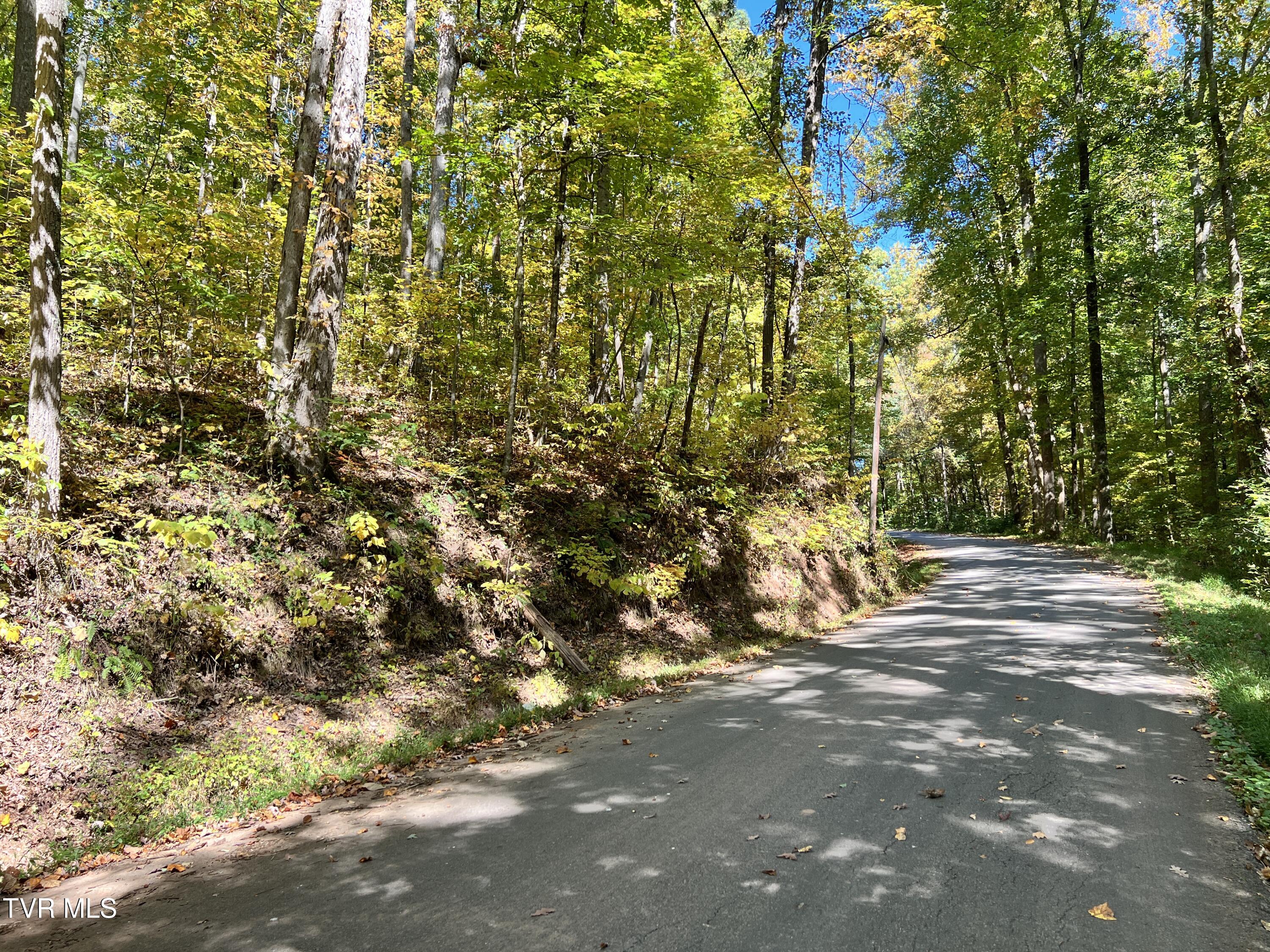 1875 Dyer Hollow Road, Mohawk, Tennessee image 12