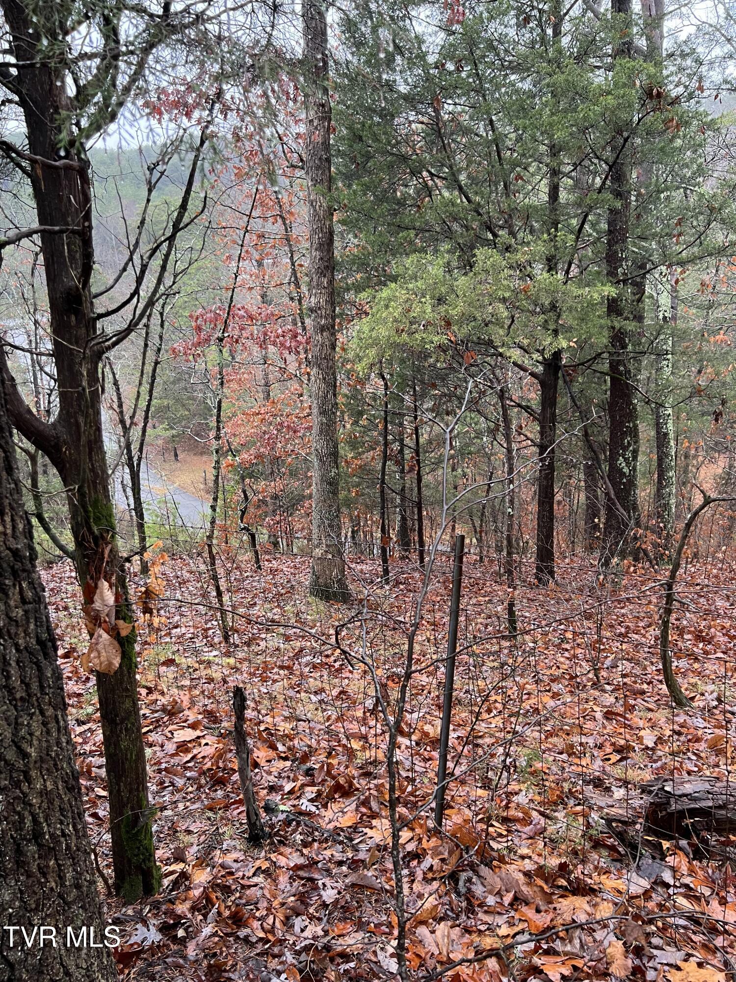 1875 Dyer Hollow Road, Mohawk, Tennessee image 17