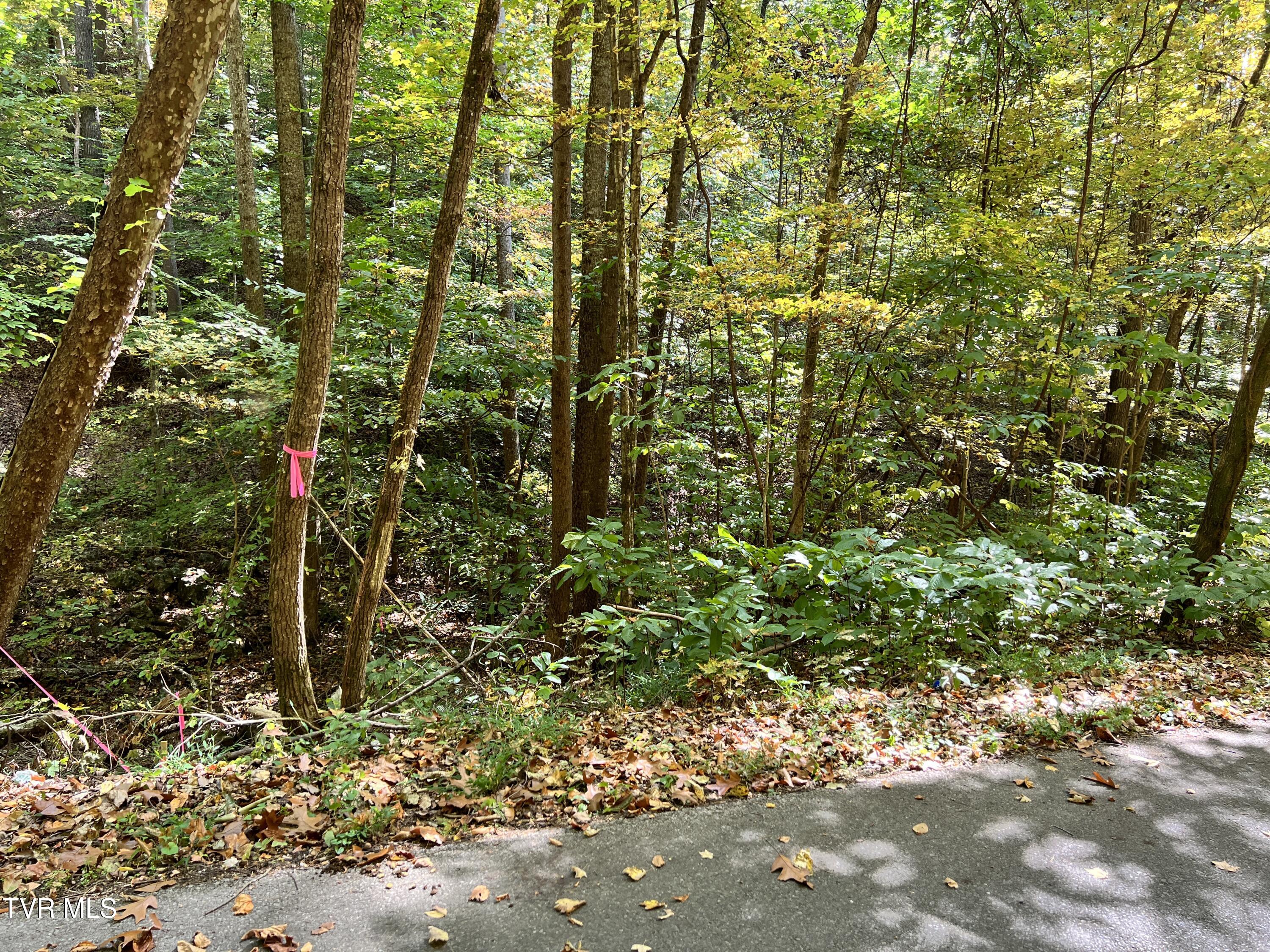 1875 Dyer Hollow Road, Mohawk, Tennessee image 1
