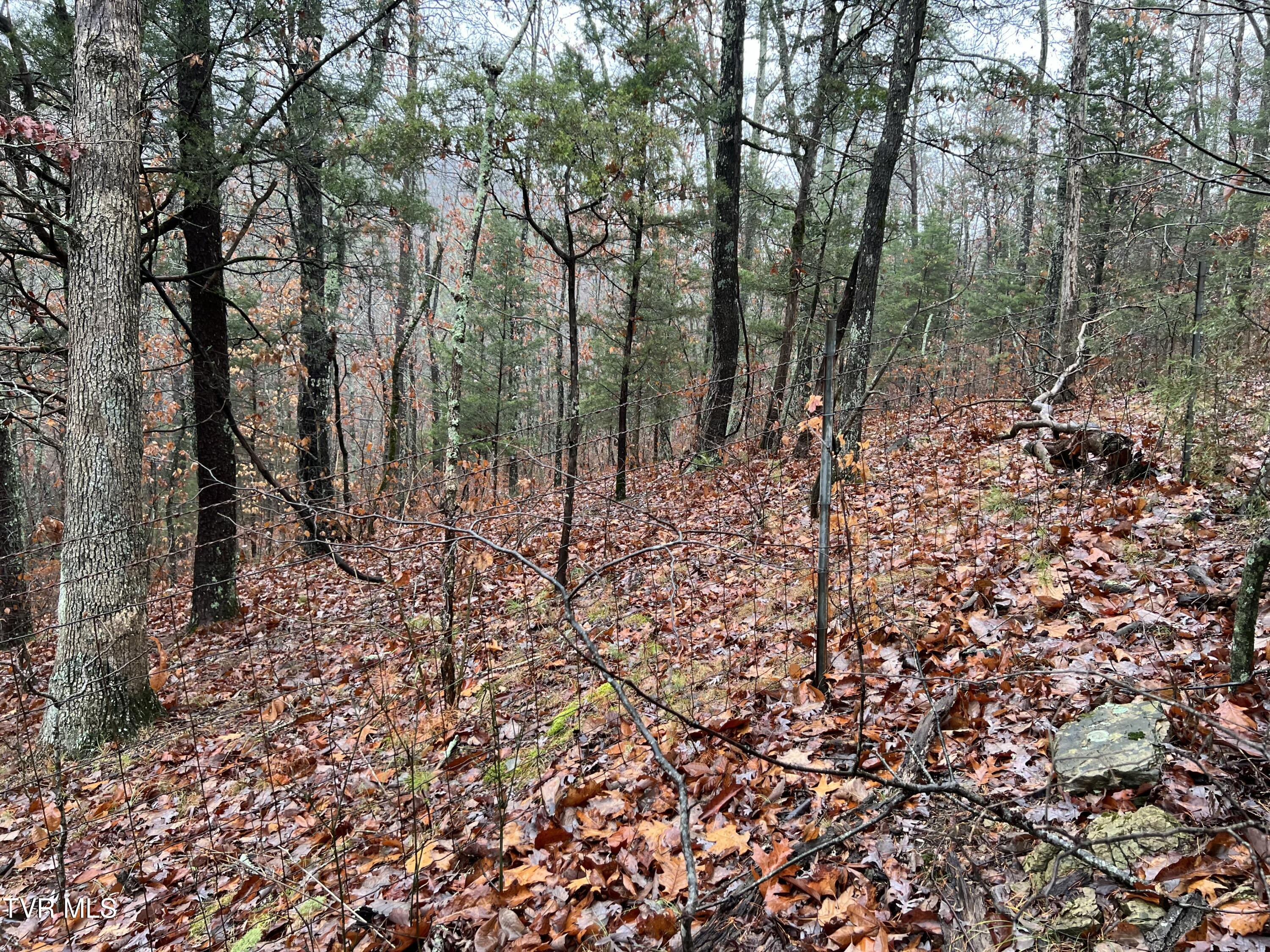 1875 Dyer Hollow Road, Mohawk, Tennessee image 14