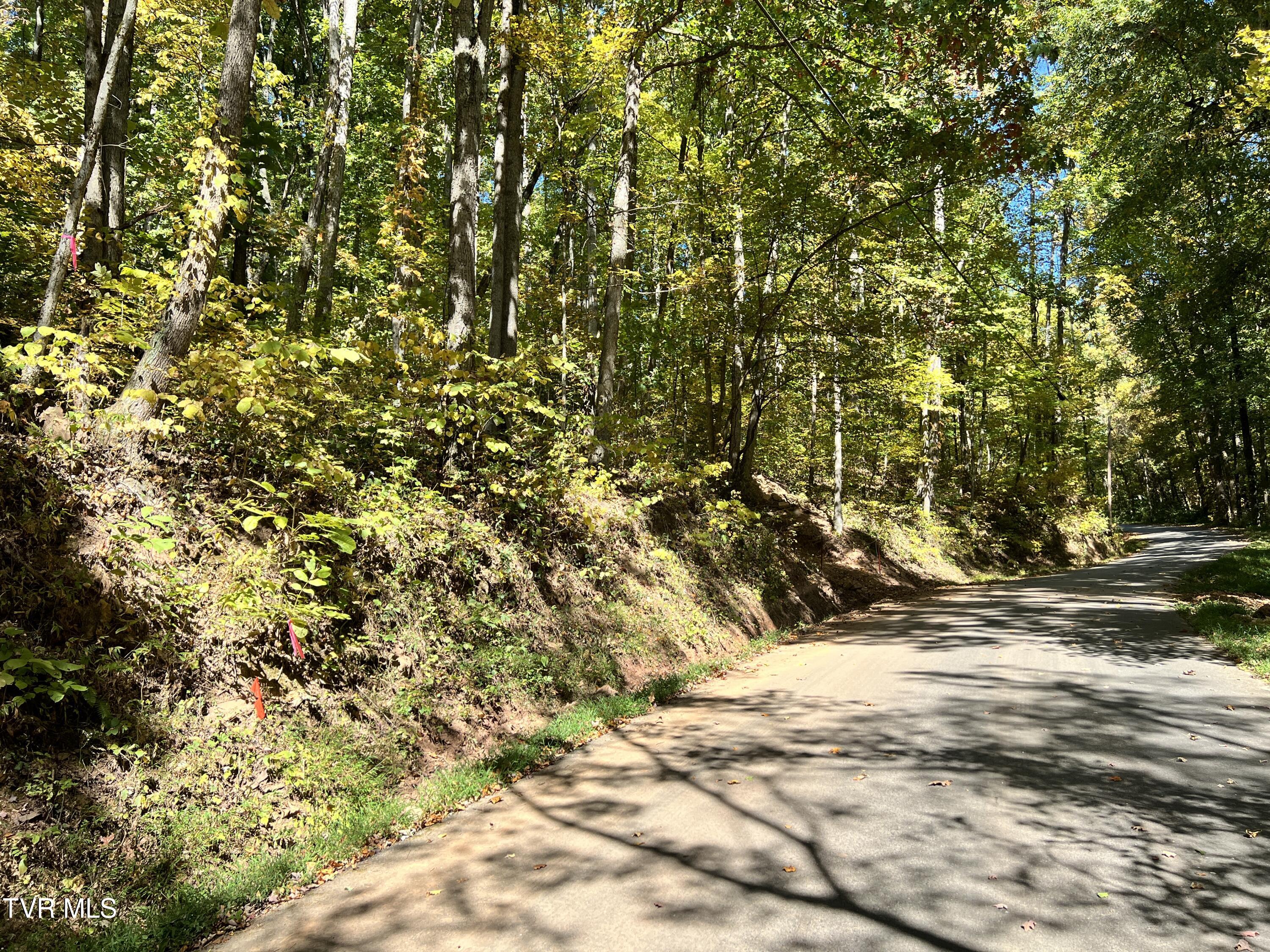 1875 Dyer Hollow Road, Mohawk, Tennessee image 13