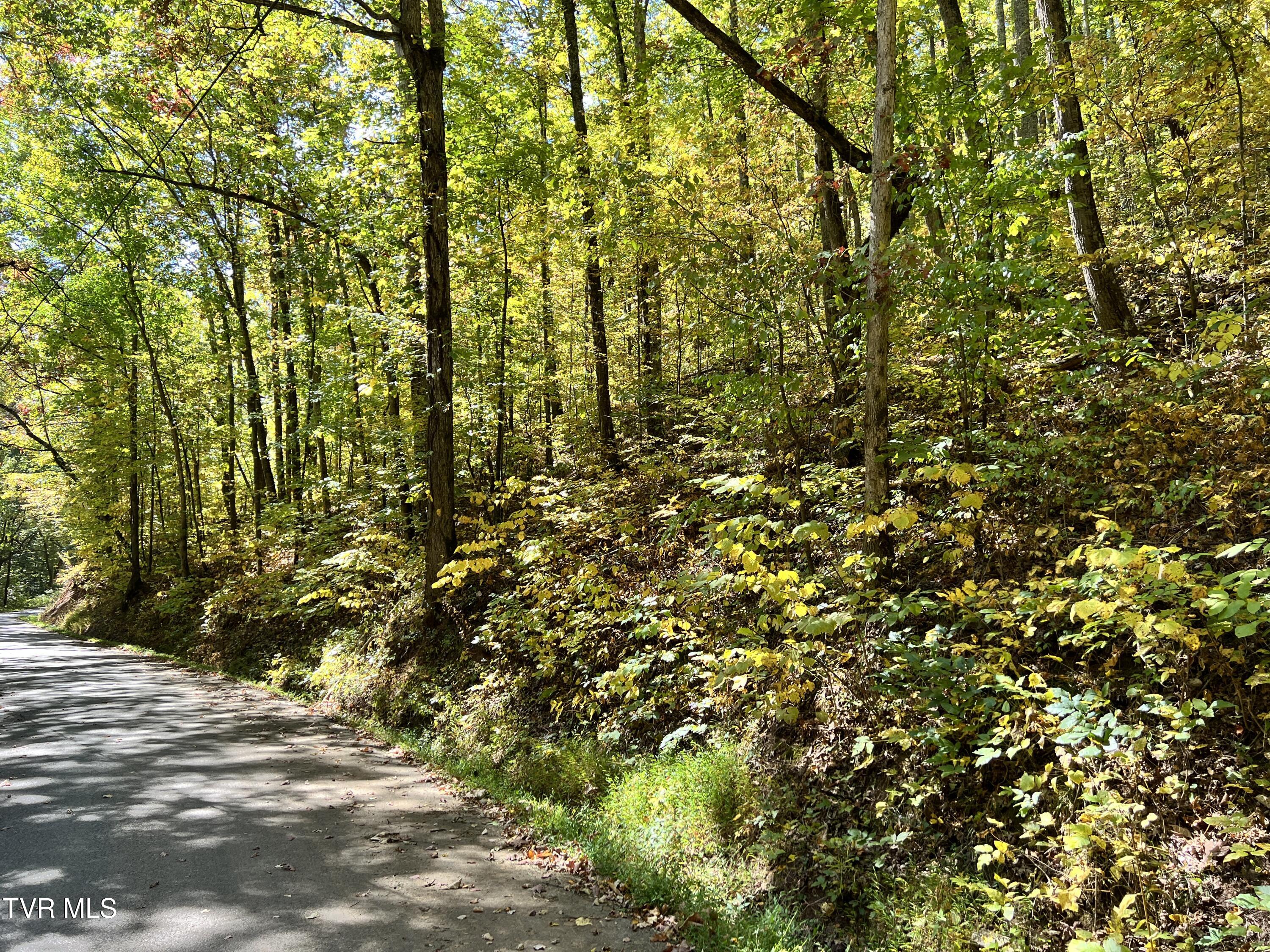 1875 Dyer Hollow Road, Mohawk, Tennessee image 7