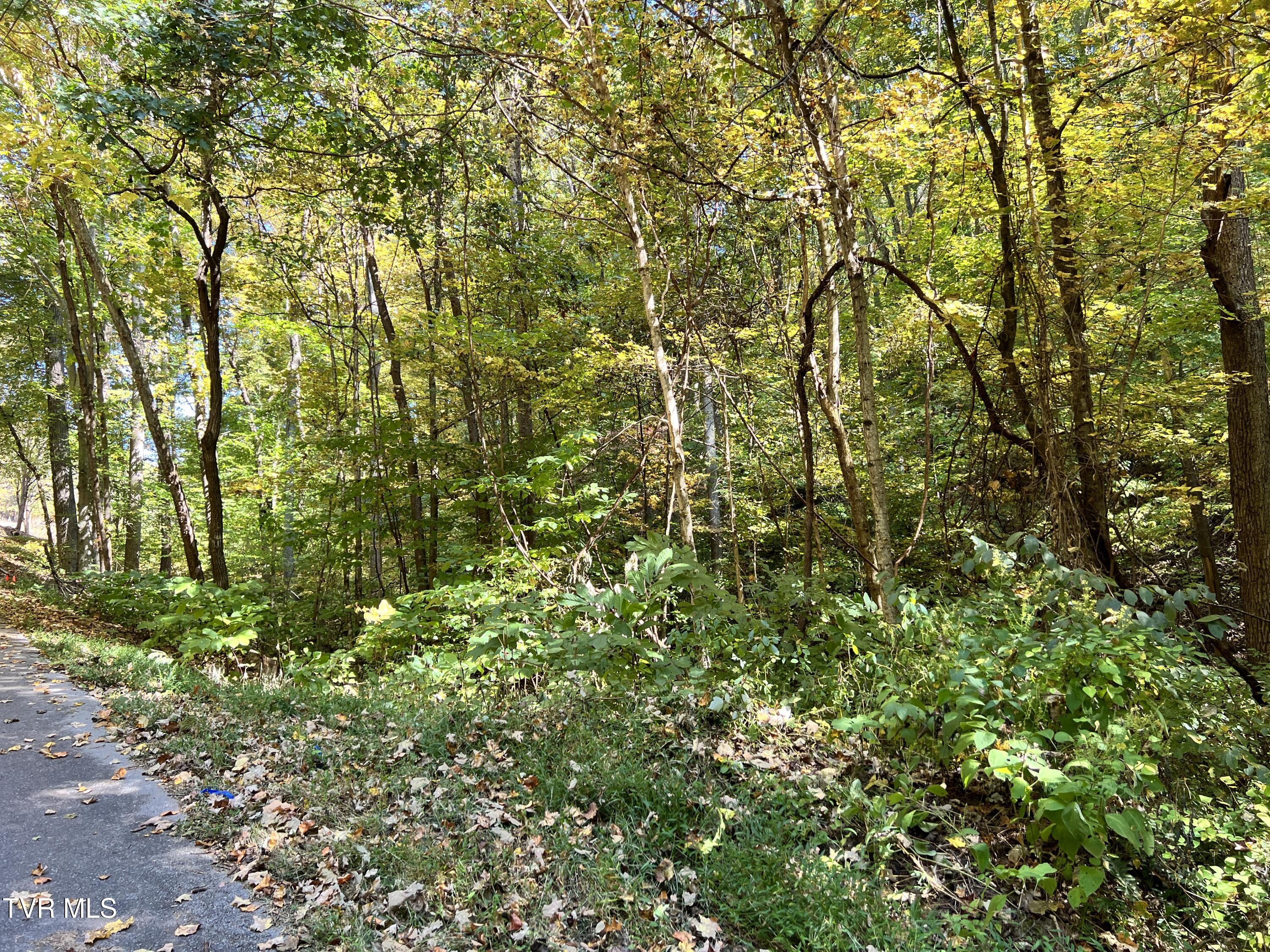 1875 Dyer Hollow Road, Mohawk, Tennessee image 5