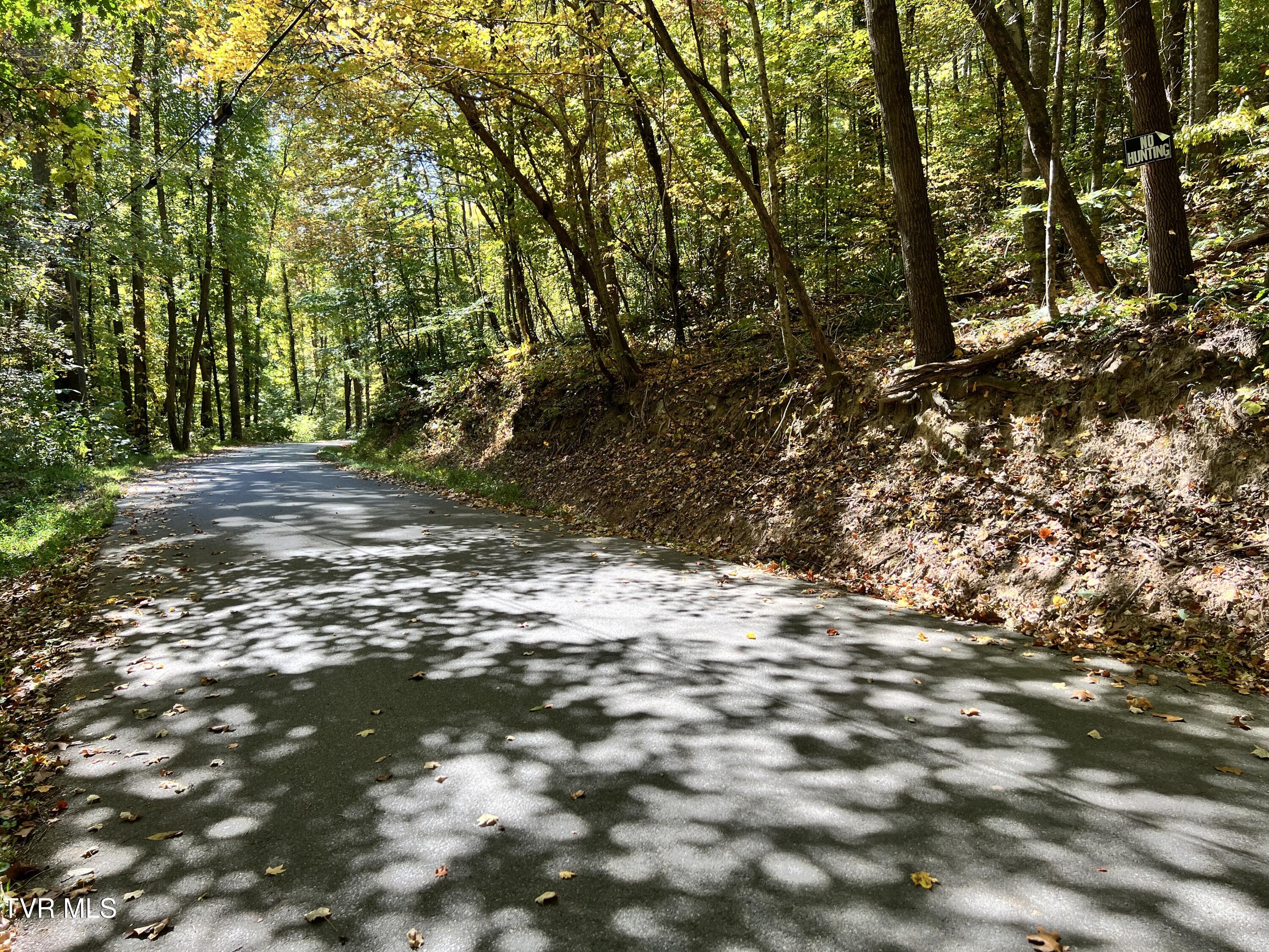 1875 Dyer Hollow Road, Mohawk, Tennessee image 9