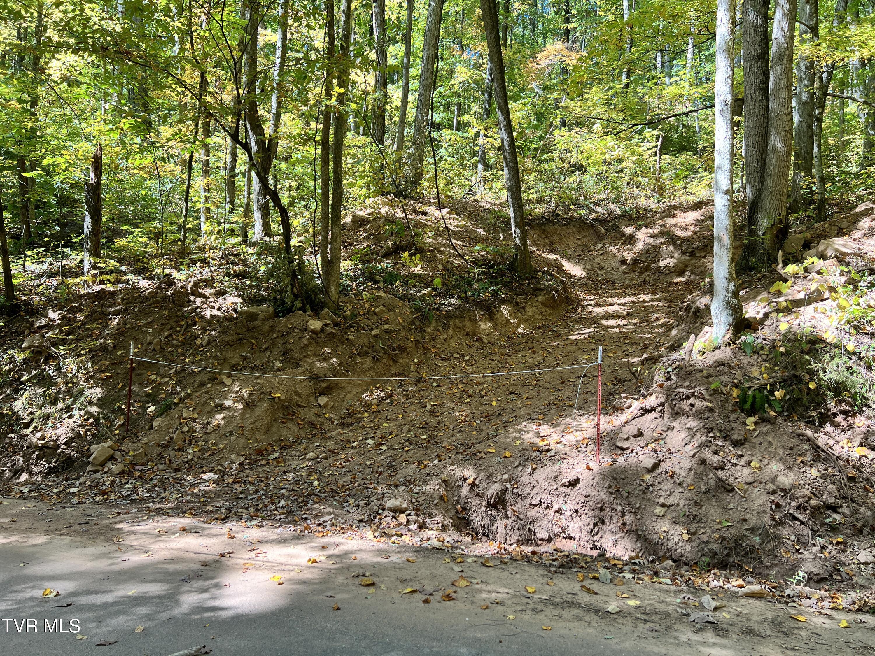 1875 Dyer Hollow Road, Mohawk, Tennessee image 11