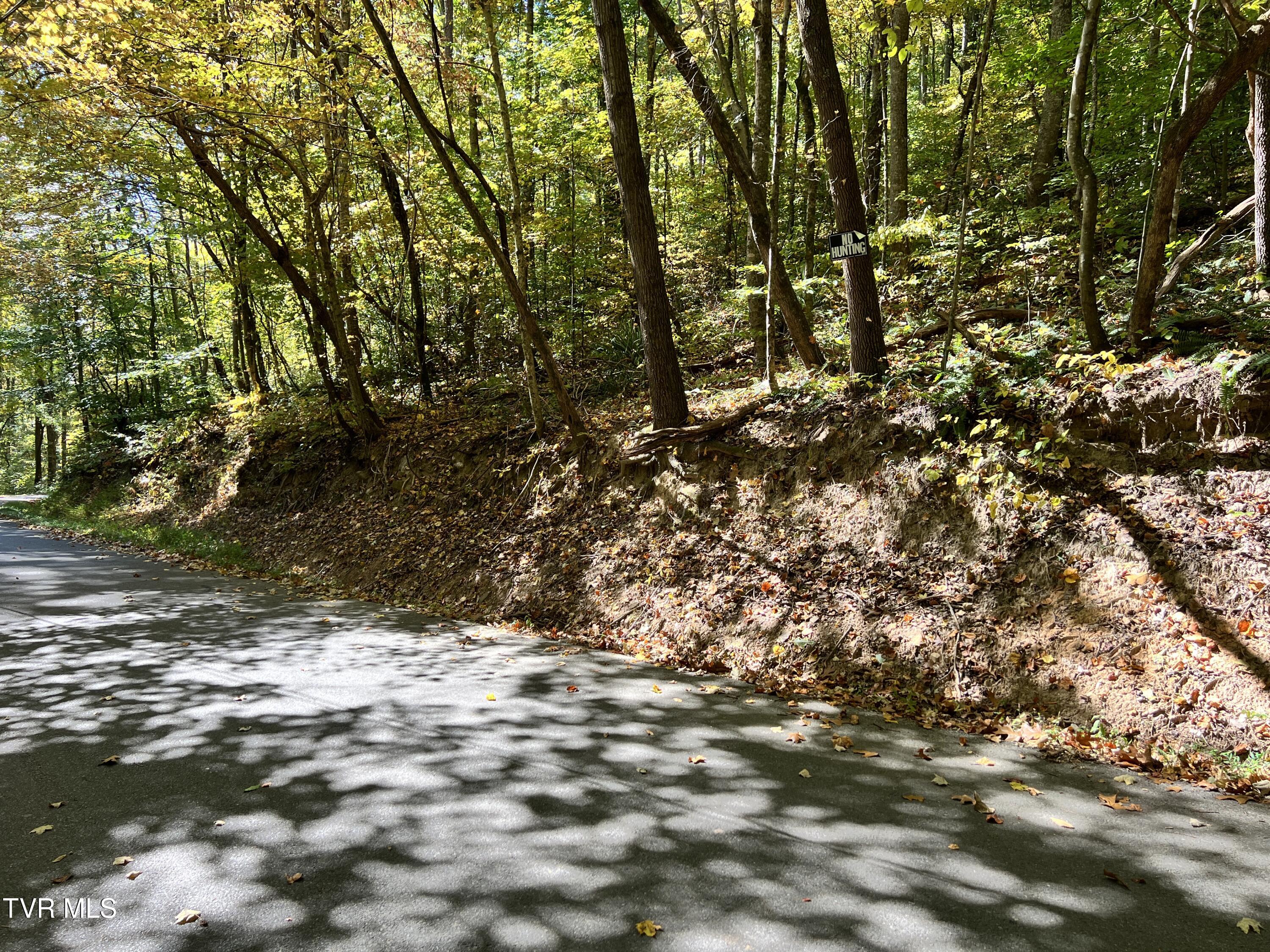 1875 Dyer Hollow Road, Mohawk, Tennessee image 8
