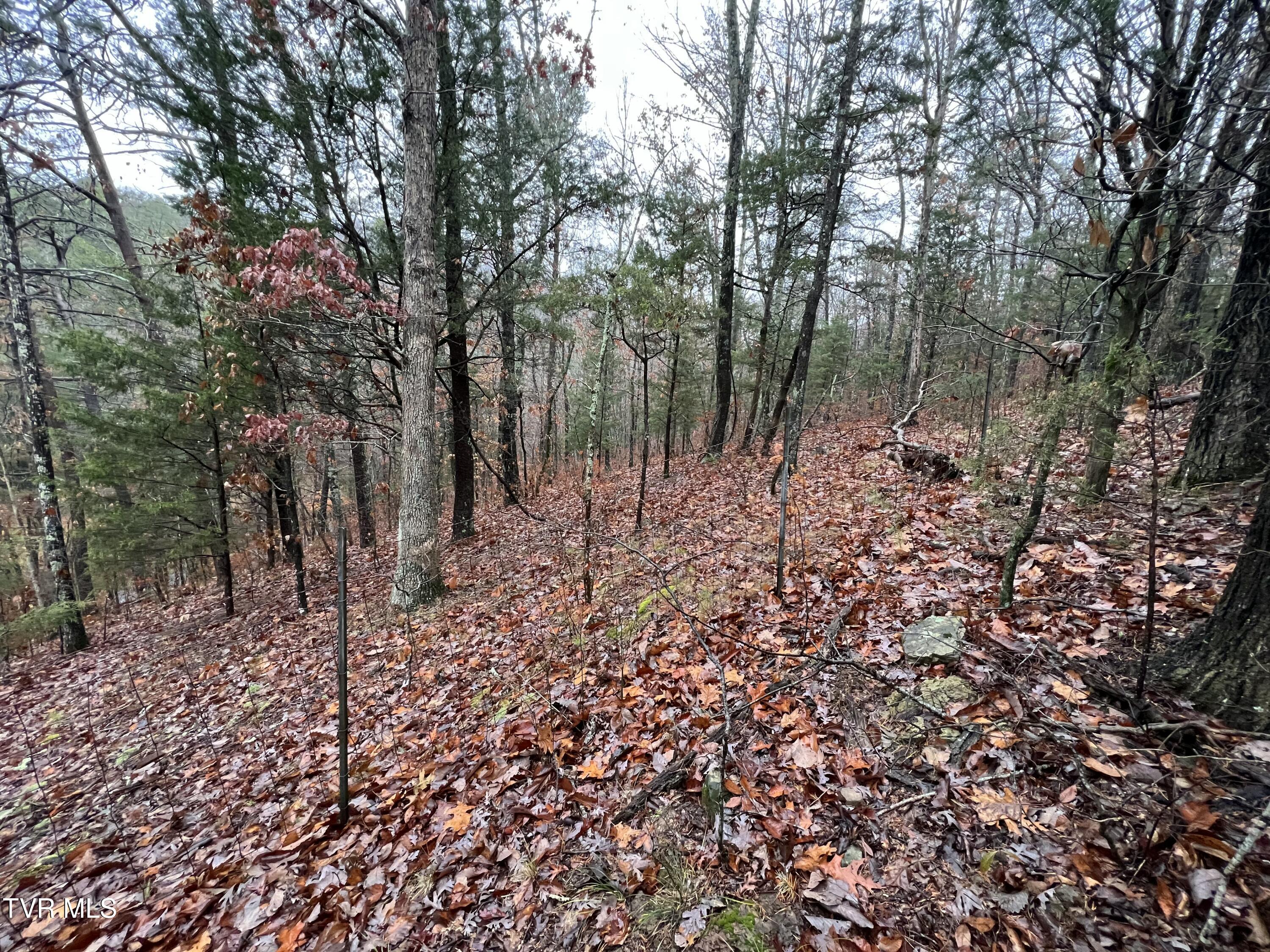 1875 Dyer Hollow Road, Mohawk, Tennessee image 15