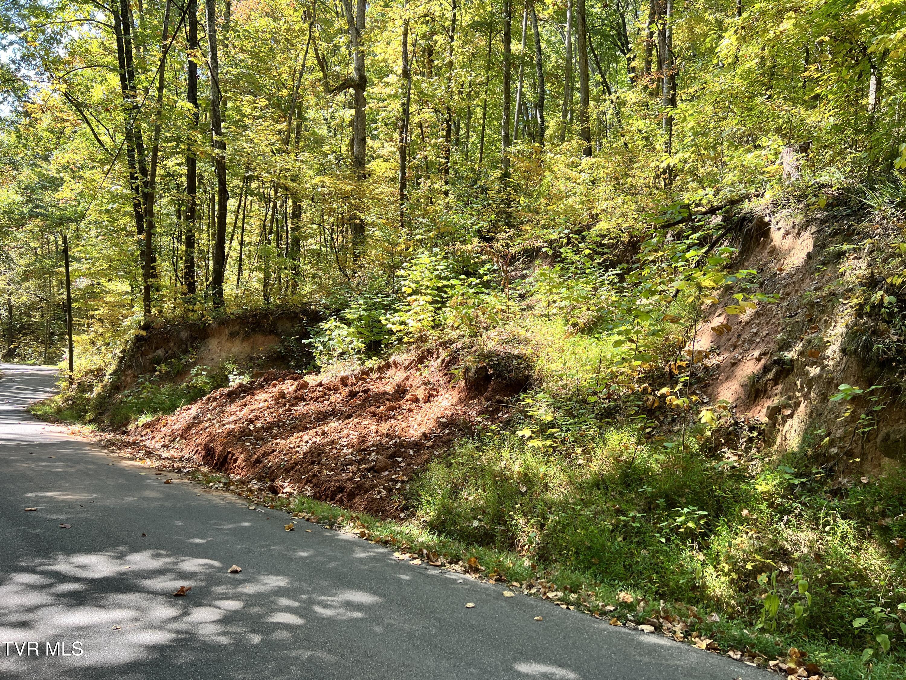 1875 Dyer Hollow Road, Mohawk, Tennessee image 10
