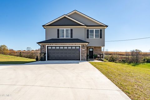 Photo of 1325 Bowmantown Road, Limestone, TN 37681 (MLS # 9988044)