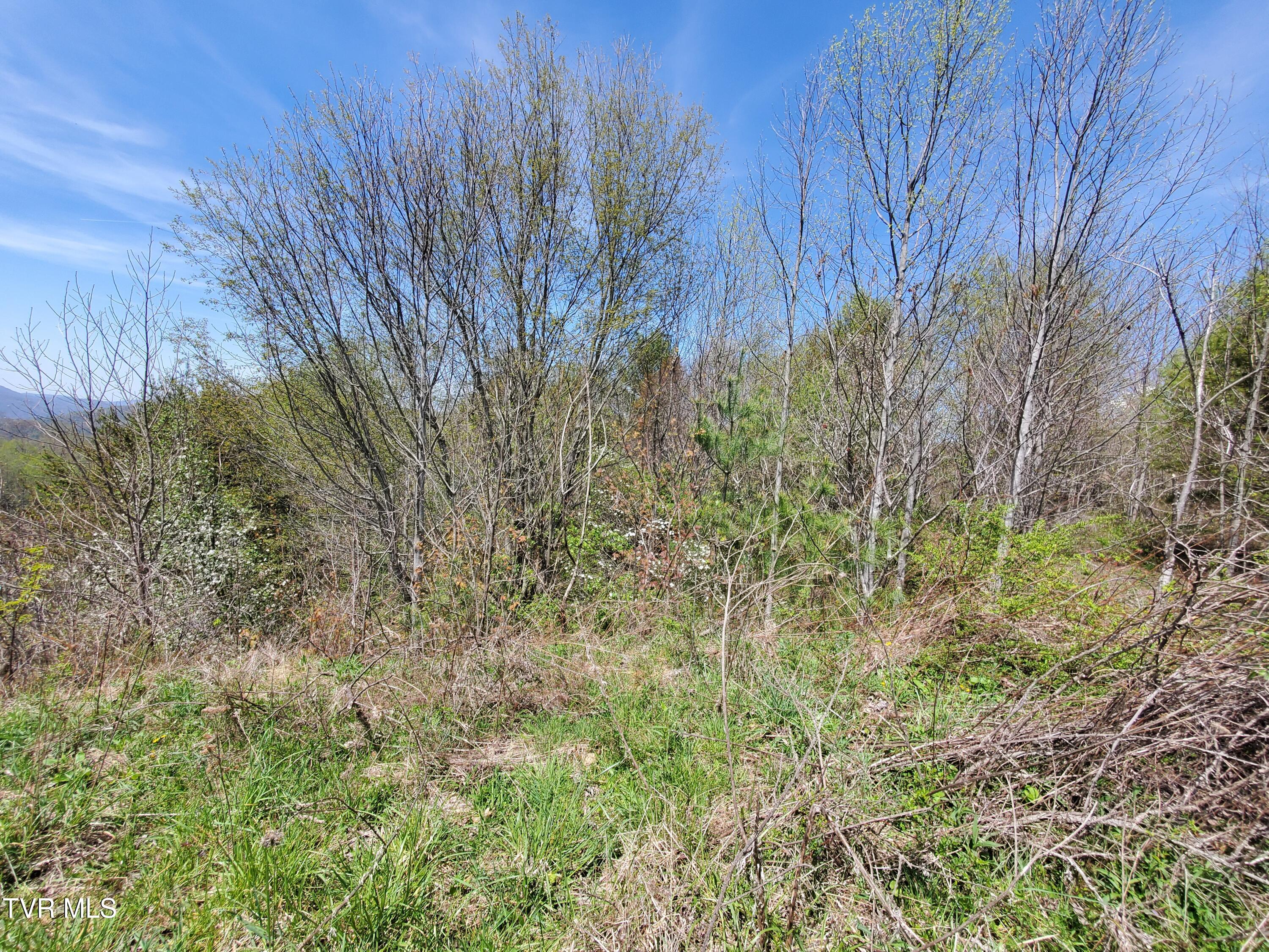 Lot 27 Blue Grass Road