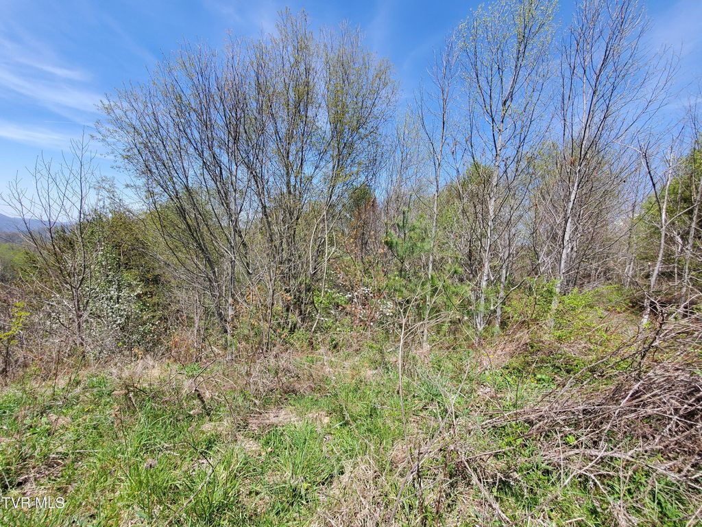 Photo of 27 Blue Grass Road, Roan Mountain, TN 37687 (MLS # 9994982)